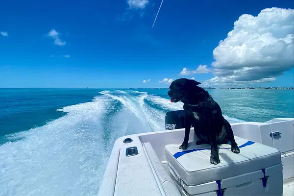 Discover Key West's Underwater Paradise: A Snorkeling Adventure