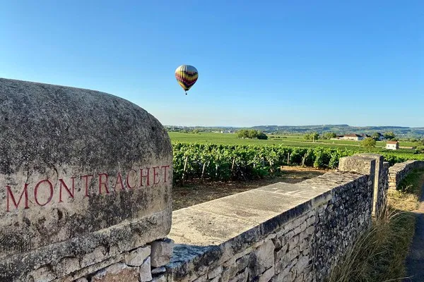 Burgundy Wine Tour: Premier & Grand Cru Tasting