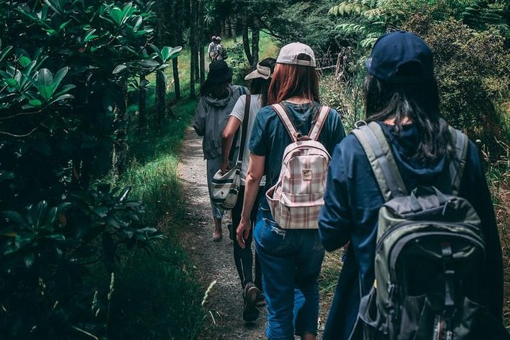 Experience Image img2