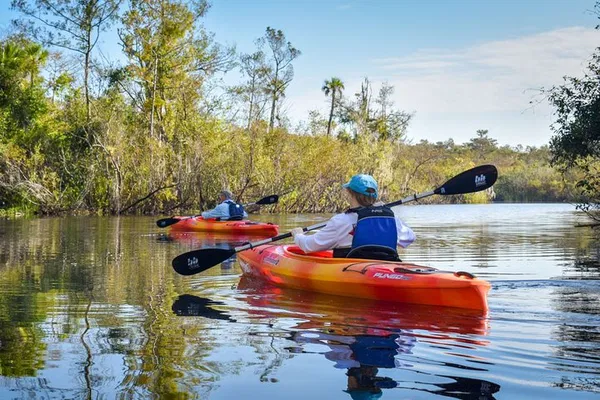 Everglades Kayak Tour: See Alligators & Wildlife!