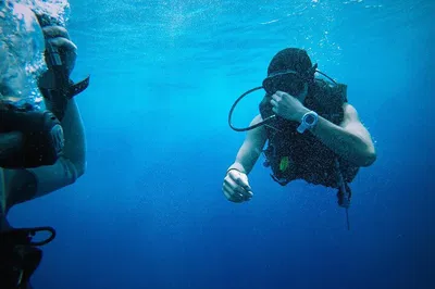 Dive into Plemmirio's Underwater Wonders: A Syracuse Scuba Adventure