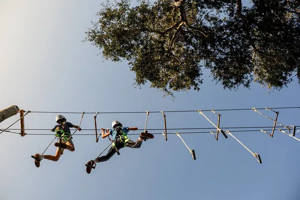 Thrilling High Ropes Course Adventure near Santa Barbara