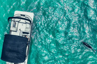 Clearwater Pontoon Tours: Private Beach Excursion!