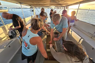 Fort Myers Beach: Shark Teeth & Shelling Tour