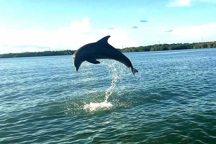 img0