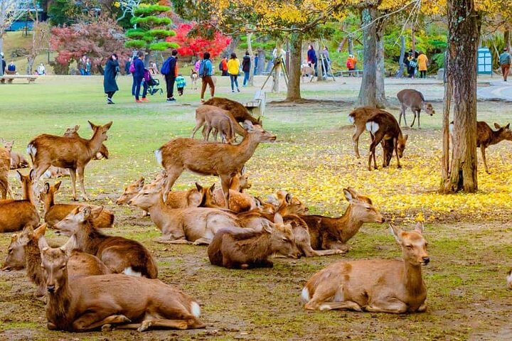 Experience Image img1