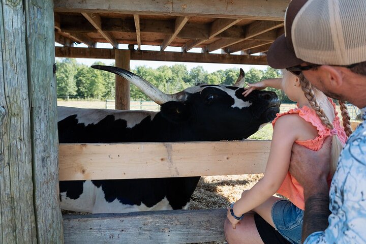 Experience Image img3