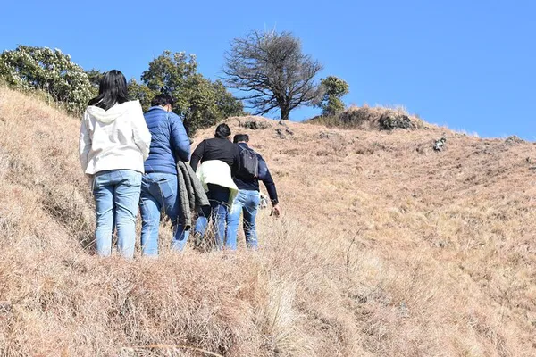 Discover Mussoorie's Hidden Gems: The Benog Wilderness Trek