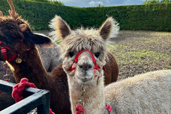 Experience Image img4