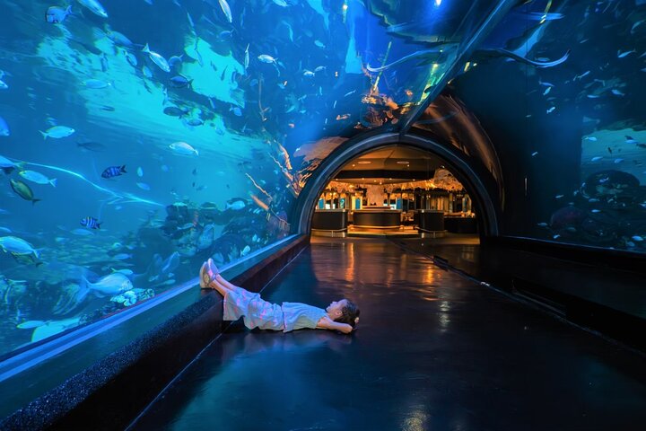 Phuket's Aquatic Wonders: Aquaria & Trick Eye Museum Adventure!