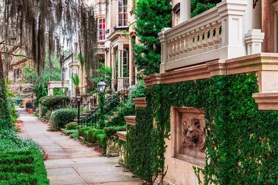 Savannah Scavenger Hunt: Self-Guided Adventure!