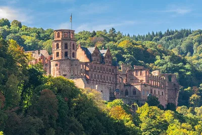 Uncover Heidelberg's Charms: A Personalized Half-Day Adventure