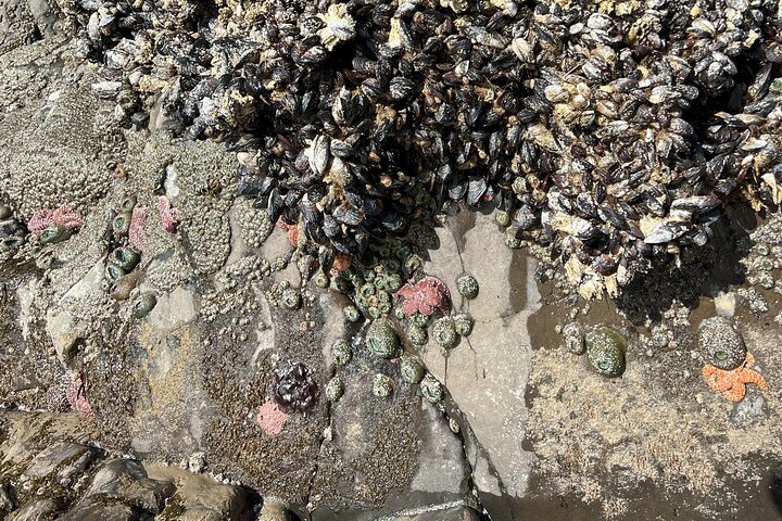 Experience Image img1