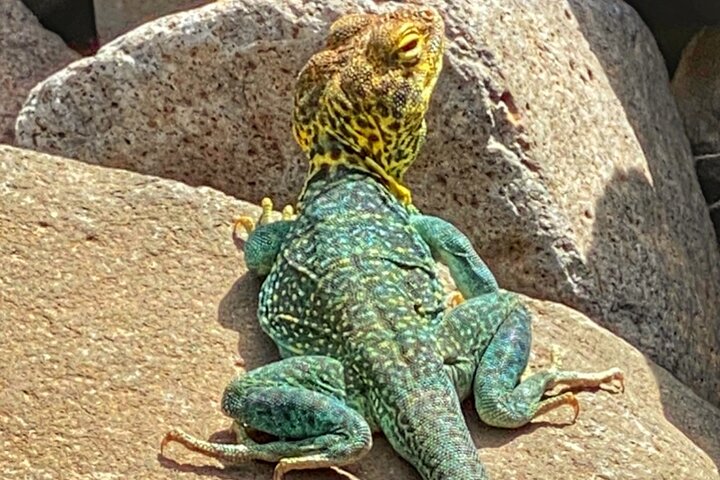 Experience Image img1