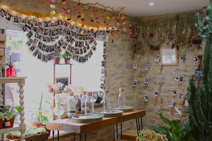 Craft Your Own Green Oasis: Terrarium Making in Cirencester!