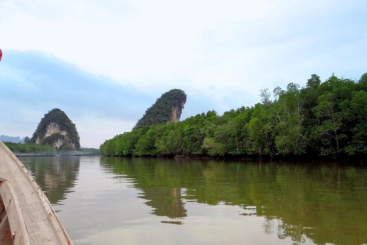 Krabi Mangrove Exploration: A Longtail Boat Adventure