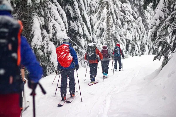 Whistler Backcountry Skiing: Untracked Powder Awaits!