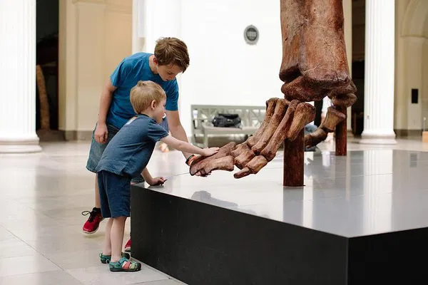 Field Museum: Explore Dinosaurs & Ancient Artifacts!