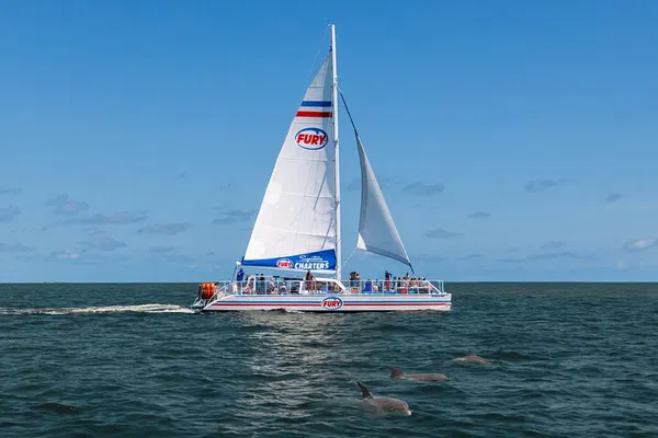 Dolphin Watch & Harbor History: St. Augustine's Premier Catamaran Tour