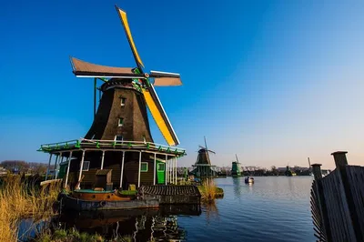 Escape Amsterdam: A Luxurious Countryside Tour by Car