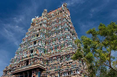 Unveiling Chennai's Soul: A Private Art, History & Culture Day Tour