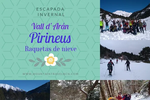 Vall d'Arán Snowshoe Adventure: Explore Pyrenees' Winter Wonderland