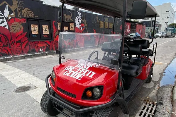 Wynwood Graffiti Golf Cart Tour: Miami's Street Art Unveiled by Artists