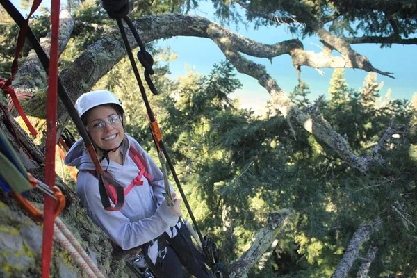 Reach New Heights: Old-Growth Tree Climbing Adventure on Lopez Island