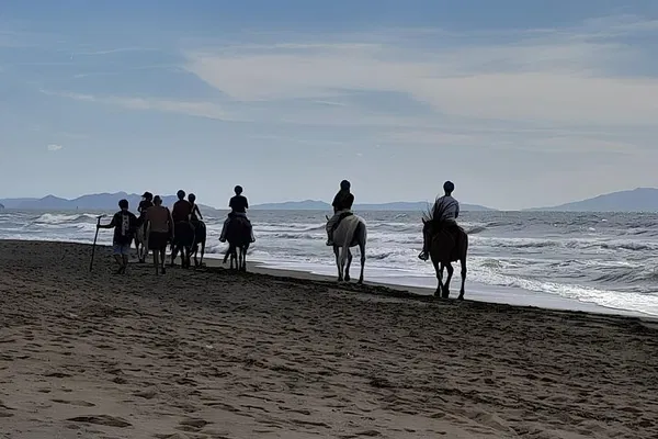 Tuscan Horseback Ride: Coastal Views & Forest Trails