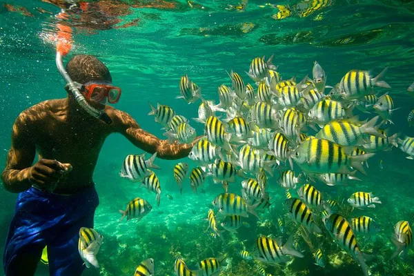 Nha Trang Adventure: Snorkel, Mud Bath & Island Escape