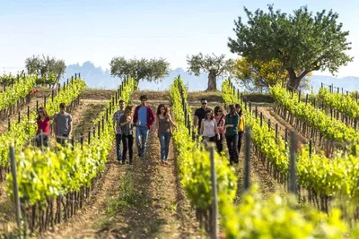 Uncork Barcelona: Wine & Cava Excursion with Countryside Charm