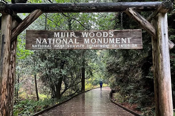 Luxury Escape: Muir Woods & Sausalito Private Adventure