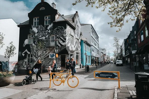 Reykjavik's Insta-Worthy Street Art: Private Walking Tour