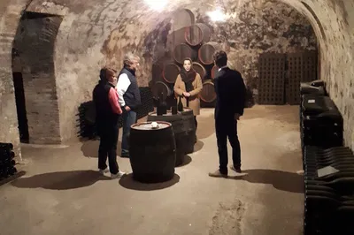 Unforgettable Champagne Vineyard Adventure: VIP Tasting Tour in Reims!