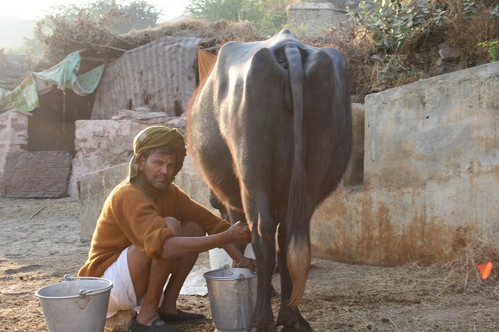 Experience Image img3