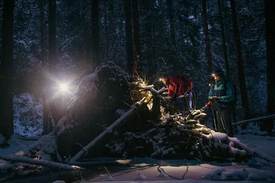 Oslo Forest Night Walk: Private Mystery Tour