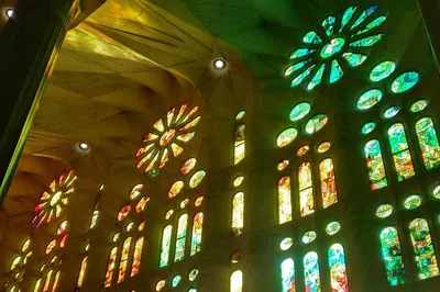 Image 3