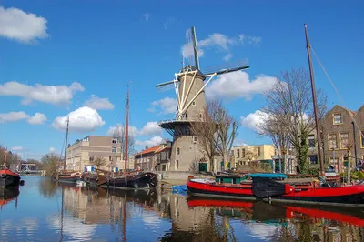 Stress-Free Amsterdam-Rotterdam Transfer: Gouda Cheese Stop Included!