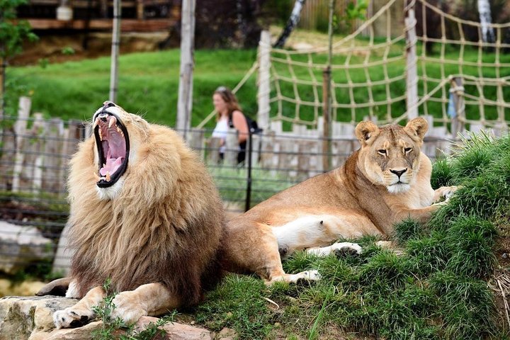 Experience Image img1