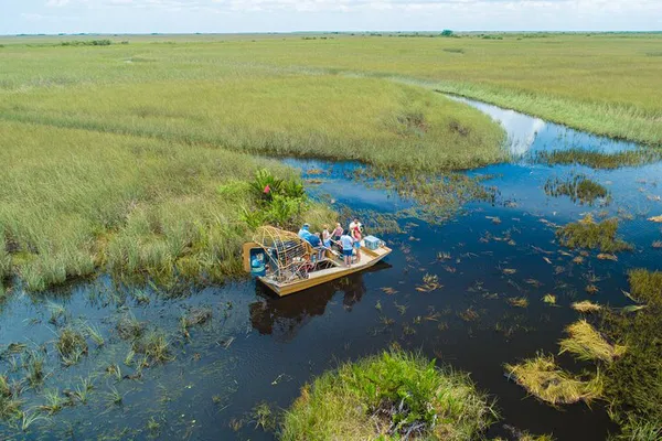 Everglades Adventure: Small Group Airboat Ride with Expert Guide
