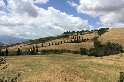 Escape to Tuscany: A Luxurious Day Trip from Rome