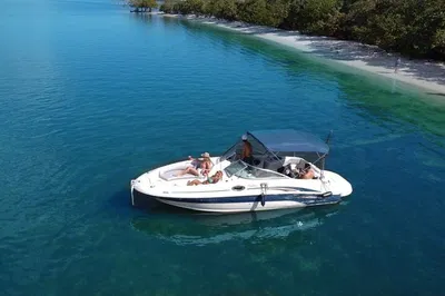 Miami Millionaires' Row: Sushi & Champagne Boat Tour