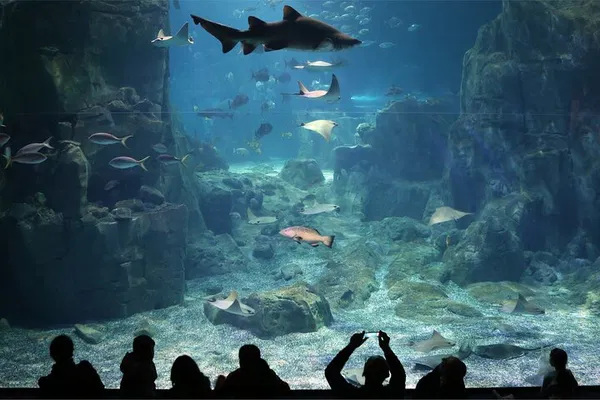 Istanbul Aquarium Tour: Skip-the-Line + Transfers