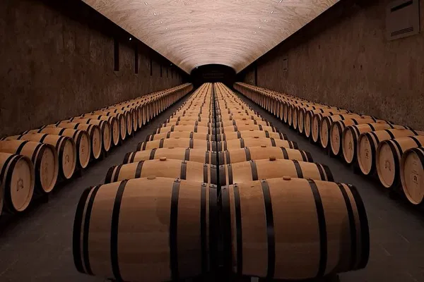 Unforgettable Bordeaux: A Private Wine Tour with a Pro!