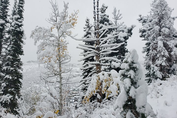 Experience Image img1