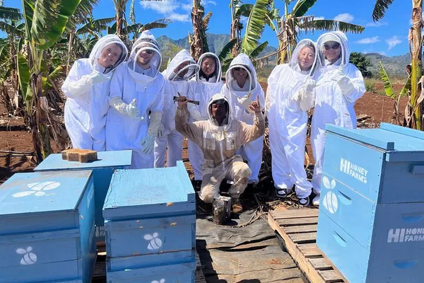 Buzz-Worthy Adventure: Oahu's Sweetest Honey & Bee Farm Ecotour!