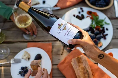 Sonoma Wine Tour: Russian River Tasting & Gourmet Lunch