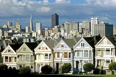 San Francisco & Muir Woods: A Small-Group Adventure