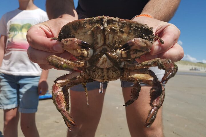 Experience Image img1