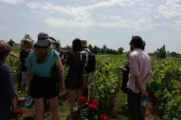 Saint-Emilion Wine Tour: Taste Bordeaux's Best!